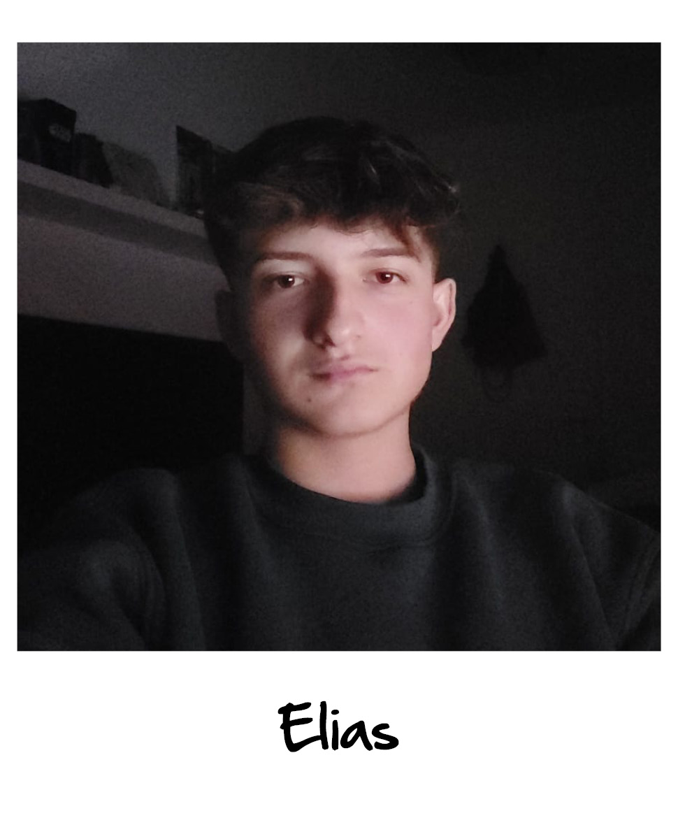 TH_Ploaroaids_Portraits3